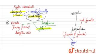 How do organisms  whether reproduced asexually or sexually maintain a constant chr [upl. by Lewert]