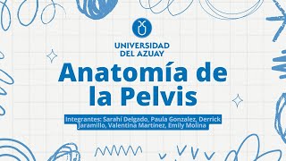 Anatomía de la pelvis [upl. by Arahs64]