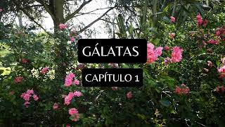 Gálatas Capítulo 1 [upl. by Neellok]