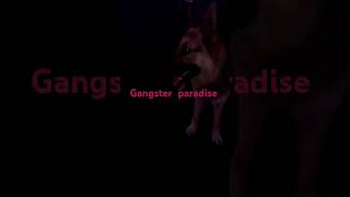 My dog belongs to ganger paradise music rap 80smusic song [upl. by Anialed]