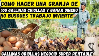 como hacer una granja de 100 gallinas criollas y ganar dinero desde cero en casa paso a paso [upl. by Ayotal559]