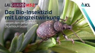 LalGuard M52 GR BioInsektizid gegen den gefurchten Dickmaulrüssler mit Langzeitwirkung [upl. by Audrey]