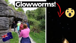 Glowworm caves in New Zealand  FASCINATING FACTS [upl. by Ethelind]