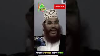 আল্লামা দেলোয়ার হোসেন সাঈদী  Delwar Hussain Saidi waz foryou unfrezzmyaccount [upl. by Ancalin]