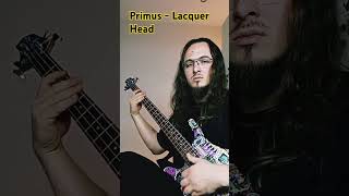 Primus  Lacquer Head bassplayer shortcover primus riff funk rock music [upl. by Ahsilak]