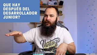 Luego de desarrollador junior que sigue los caminos del desarrollador de software [upl. by Narahs]