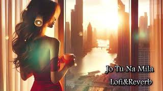 Jo Tu Na Mia Bollywood Hit Song  Slowed amp Reverb Song  New Song 2024 [upl. by Stafford474]