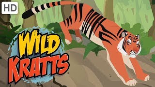 Wild Kratts 💥 Activate All Season 5 Creature Powers  Kids Videos [upl. by Terrye]