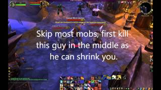 Elite  lvl 85 Rogue Solo blue protodrake run  Utgarde Pinnacle HC  Skadi the Ruthless [upl. by Acnalb]