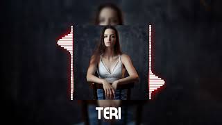 Teri  Indian ReMix Music 2024 [upl. by Emiolhs]