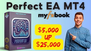 Perfect EA MT4 Backtest 2024  FX STORE EA [upl. by Guillemette454]