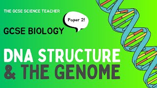 GCSE Biology DNA Structure and the Genome AQA OCR Edexcel [upl. by Rodney812]