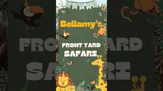 Bellamys Front Yard Safari [upl. by Kendyl853]