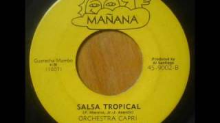 Orchestra Capri  Salsa Tropical [upl. by Sophia]