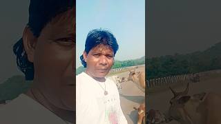 doston mere doston sheshnag Hindi movie song video YouTube short video Raju master sijua Bokaro [upl. by Gilman]