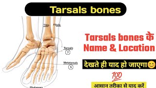 Tarsals Bones Name amp Location In Hindi  Lower Limb Heel amp Ankle Bones Anatomy Tarsal Bone Anatomy [upl. by Ainolloppa21]