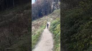 Jumping on Flow Country in Winterberg 🙃🙂 mtb mtblife rideordie viral epic send new fyp sick [upl. by Sheelah]