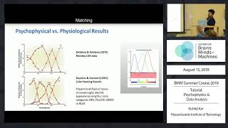 Tutorial Psychophysics and Data Analysis [upl. by Ramed]