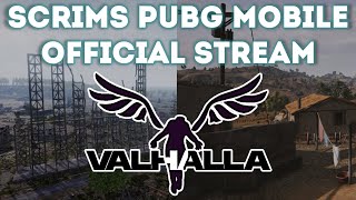 PUBG MOBILE  VALHALLA SCRIM  OFFICIAL STREAM  07112024 [upl. by Nanaj967]