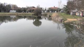 RIVERSIDE FISHERIES ONEHOUSE STOWMARKET SUFFOLK [upl. by Abbottson]