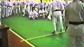 Hirokazu Kanazawa  Seminar 1994  Gankaku Sho [upl. by Adian]