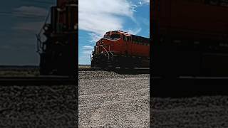 BNSF Grain train Wet44c4 leadingbnsf automobile train bnsftrains railroad railfanner [upl. by Ydnec]