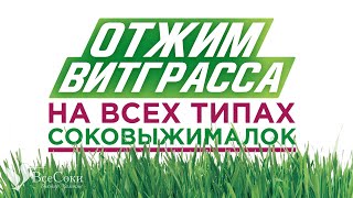 Отжим витграсса на всех типах шнековых соковыжималок [upl. by Arakal]