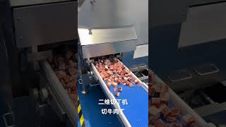 Twodimensional dicing machine stuffing cuttingmachine meat viralshorts food meatcutter [upl. by Delainey]