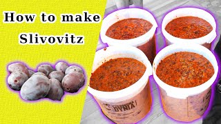 How To Make Homemade Plum Brandy  Slivovitz [upl. by Maryjo]