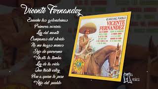 Escuche las golondrinas Vicente Fernandez Album completo [upl. by Breed]