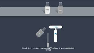 Protein  Xanthoproteic test [upl. by Lothar]