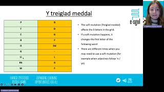 Y Treiglad Meddal [upl. by Kalbli]