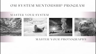 2024 OM System Mentorship Program Promo Video  OM System Ambassador [upl. by Barlow]