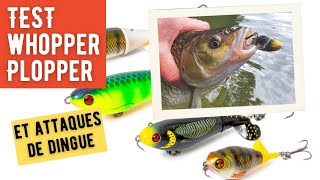 Grosses ATTAQUES sur le leurre WHOPPER Plopper de River2Sea  Le test [upl. by Leshia]