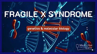 The Genetics Behind Fragile X Syndrome  NOTES [upl. by Aihsenrad]