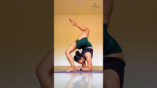 Back bending yoga pose variationbackbending yogaurmi urmiyogaacademy yogapose yogateacher asan [upl. by Yelnek157]