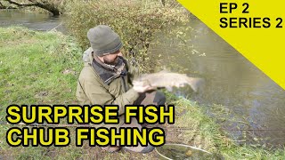 Trotting on the Itchen Chasing Scales Species Hunt EPISODE 22 [upl. by Oruntha]