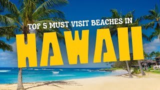 Top 5 Must Visit Beaches in Hawaii  Hawaii Beach Tour [upl. by Ok]