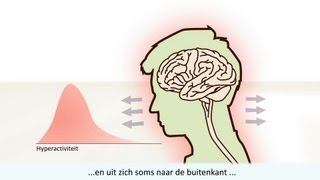 ADHD  Kenmerken en verschil met ADD [upl. by Ninaj798]