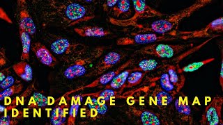 145 Genes You DIDNT Know Could Cause CANCER [upl. by Cariotta]