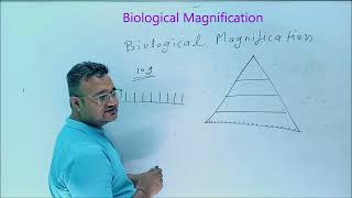 Biological Magnification Biomagnification Biology Capsule  CBSE Class 10th Topic [upl. by Mortie487]