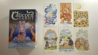 Caticorn Tarot Karty Książeczka Recenzja Przegląd 🔔 PL [upl. by Noreik]