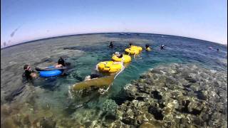 Miguel Lozano 100m CWT Record  Dahab Egypt  June 2011 [upl. by Akoyin]