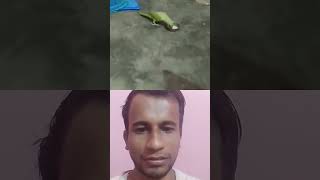 chini mein chini nahin peene mein kya maja shayari love shayari in hindi i love you shayari🦜🦜 [upl. by Anerac754]