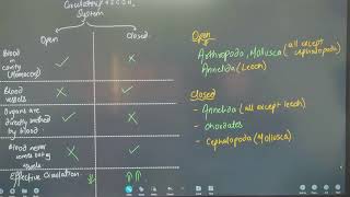 NEET 2025 BIOLOGY  ANIMAL KINGDOM  L1 [upl. by Gorski]