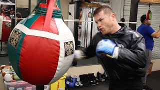 P4P KING CANELO ALVAREZ BEAST MODE HOW TO HIT THE HEAVY BAG LIKE CANELO ALVAREZ [upl. by Nyrahtak]