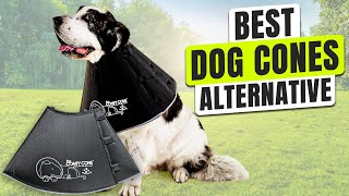 Top 3 BEST Dog Cone Alternative [upl. by Siloam]