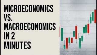 Microeconomics vs Macroeconomics in 2 Minutes [upl. by Namyac]