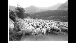 Transhumance provençale [upl. by Berck]