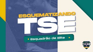 Esquematizando TSE  Gestão de Contratos  Prof Thallius Moraes [upl. by Aushoj879]